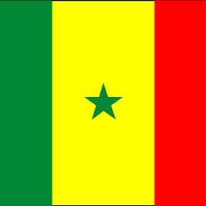 AZ FLAG Senegal Table Flag 5'' x 8'' - Senegalese Desk Flag 21 x 14 cm -  Black Plastic Stick and Base