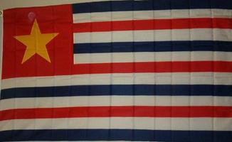 LOUISIANA STATE FLAG- 3x5ft Cotton Historical Vintage- SOLD